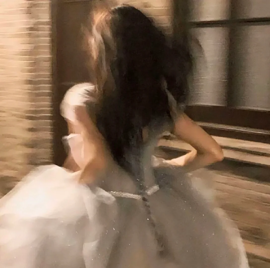 舞蹈理论家的舞蹈表演